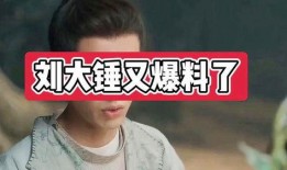 刘大锤爆料过啥综艺啊视频,揭秘热门节目幕后故事